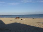 beach-atlantic-horse-reiter-5140.jpg