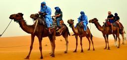 camel-riders-desert-africa-603611.jpg