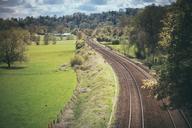 road-grassland-forest-917306.jpg