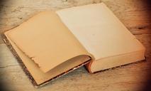 book-old-antique-pages-empty-pages-657626.jpg