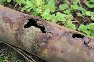 pipe-garden-pipe-rust-rusted-907523.jpg