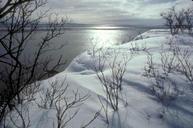 Shore of Nushagak bay.jpg