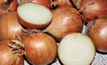 onion-vegetable-onion-brown-531974.jpg