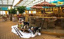 cruise-ship-deck-holidays-cruise-363690.jpg