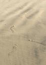 sand-footprints-summer-beach-671916.jpg