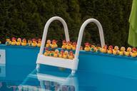 pool-water-swimming-pool-refresh-831996.jpg