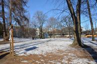 park-tree-snow-europe-finland-643686.jpg