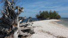 beach-desert-island-island-sand-750924.jpg