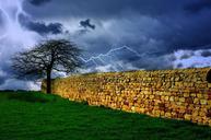 tree-storm-sky-lightning-rain-164024.jpg