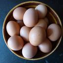 egg-hen-s-egg-food-nutrition-463940.jpg