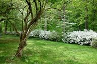 Springtime - Winterthur Museum - DSC01644.JPG