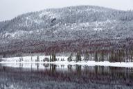 winter-landscape-forest-snow-1246563.jpg