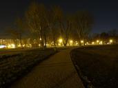 park-night-lights-forest-urban-615053.jpg