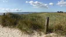 dunes-sand-wide-north-sea-pasture-988369.jpg