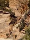 zion-national-park-utah-usa-rock-190015.jpg