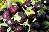 eggplants-vegetables-farmers-market-180636.jpg