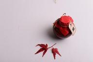 wine-maple-still-life-photography-657196.jpg