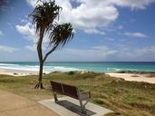 ocean-beach-sun-sky-sand-pandanus-1358824.jpg