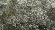 Stone high definition texture.jpg