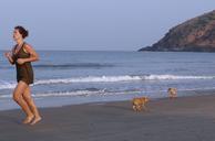 puppy-beach-kudle-sand-playing-631330.jpg