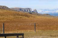 meadow-mountains-view-alpine-371730.jpg