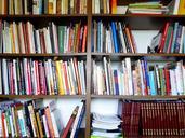 books-bookshelf-shelf-reading-797418.jpg