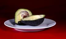 avocado-south-tropical-fruit-travel-1506120.jpg