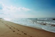 beach-sand-footprints-shore-waves-699435.jpg