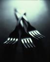 forks-cutlery-dishes-metal-shiny-336470.jpg