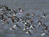 ushuaia-patagonia-tierra-del-fuego-1380362.jpg