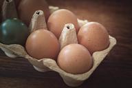 egg-chicken-eggs-brown-colored-1265772.jpg