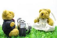 valentine-wedding-bear-old-camera-1196166.jpg