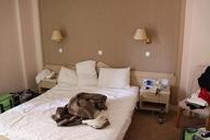 hotel-bed-lighting-pleasure-256231.jpg