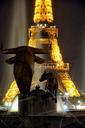 eiffel-tower-night-flicker-monument-598334.jpg