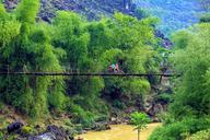 scenery-suspension-bridge-tre-1504936.jpg