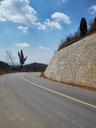 blue-sky-white-cloud-tree-road-1686275.jpg