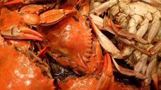 seafood-crabs-cooking-food-1013026.jpg