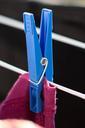 clothes-peg-laundry-clip-spring-286173.jpg