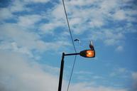 amsterdam-seagull-bird-streetlamp-643384.jpg