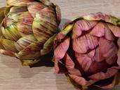 artichoke-plastic-looks-real-food-1218375.jpg