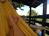 feet-hammock-summer-trees-tropical-649782.jpg