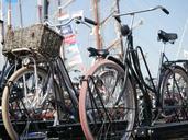 bicycle-cycling-bicycle-basket-941925.jpg