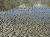 sand-reflection-water-patterns-1045279.jpg