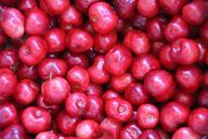 cherries-fruit-red-spring-fruits-590425.jpg