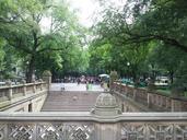 central-park-new-york-city-new-york-73299.jpg