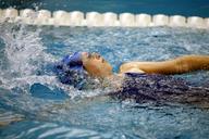 swimming-sport-swimmer-water-1515213.jpg