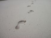 footprints-sand-beach-footprint-541177.jpg