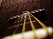 guitar-strings-macro-277168.jpg