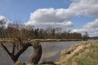 river-tree-spring-645976.jpg