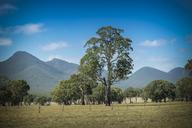 mountains-mountain-range-grampians-1603996.jpg